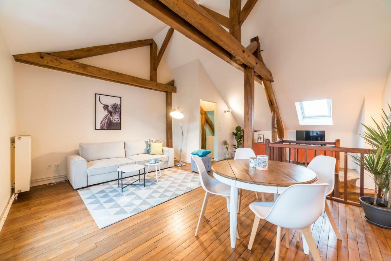 Newcenter Duplex Apartment Auxerre Exterior photo